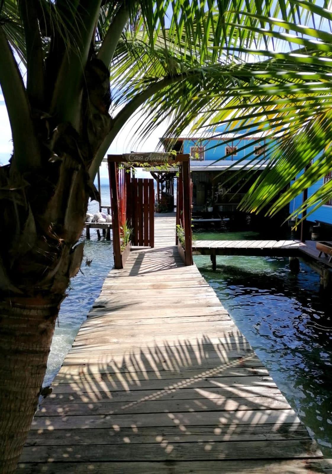 Casa Acuario Boutique Hotel Bocas del Toro Exteriör bild